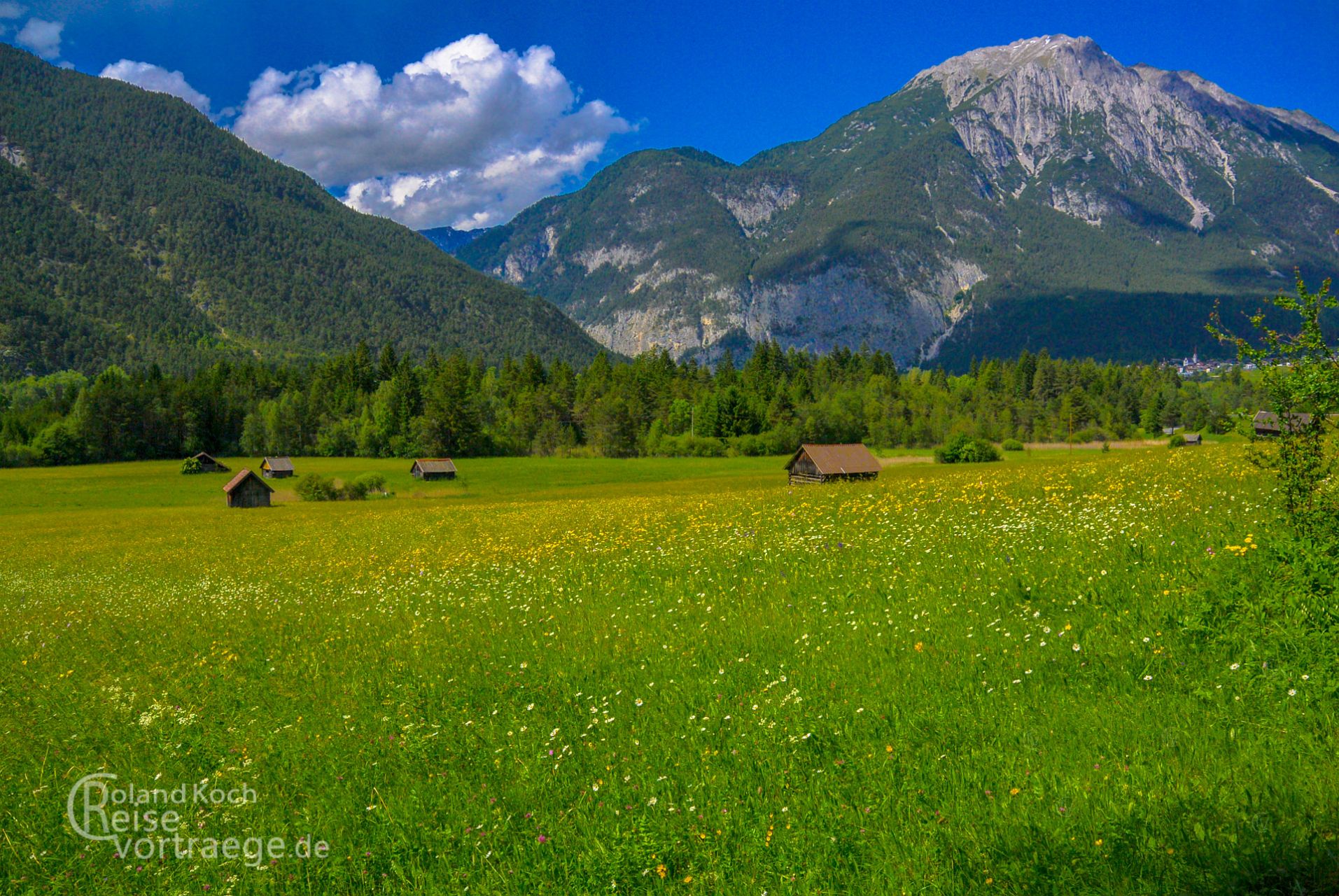 mit Kindern per Rad über die Alpen, Via Claudia Augusta, blühende Wiesen bei Nassereith